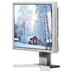 Eizo FlexScan S1911 Monitor LCD 19