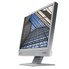Eizo Flexscan M1700 Monitor LCD 17