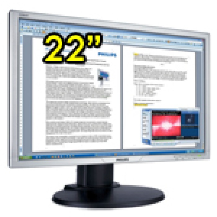 Monitor LCD 22 Pollici Philips 220BW Wide VGA DVI Multimediale Nero/Argento