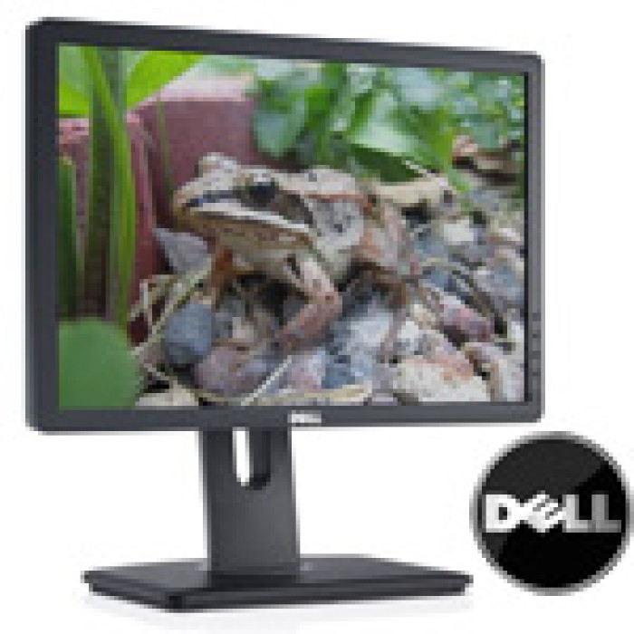 Monitor 19 Pollici Dell P1913b P1913t 16:10 VGA/DVI 1440x900 Wide Black