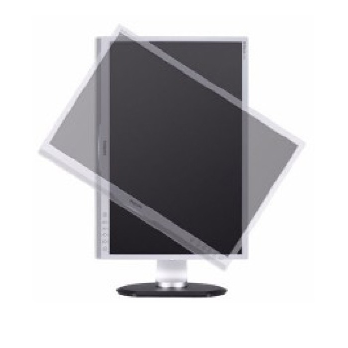Monitor PC LCD 22 Pollici Philips 220P Wide VGA DVI PIVOT Multimediale Nero/Argento