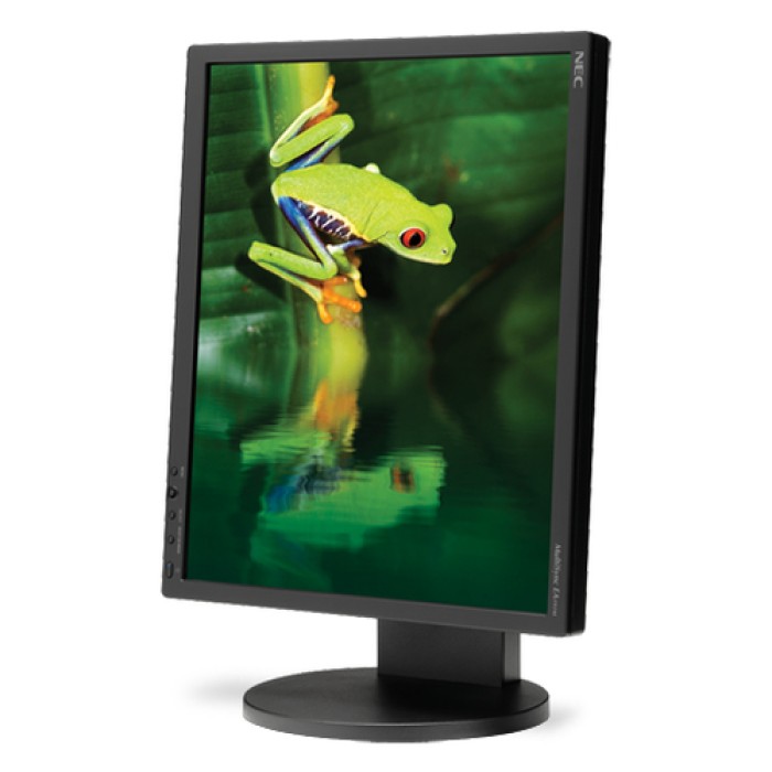 Monitor 19 Pollici NEC MultiSync EA191M VGA DVI 4:3 Black
