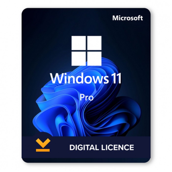 Upgrade a Windows 11 Professional