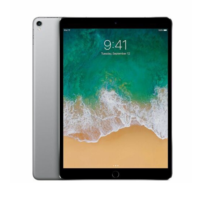 Apple iPad Pro 10.5' 2017 (A1709) 256GB WiFi-Cellular 4G MQF02LL/A SpaceGray [Grade B]