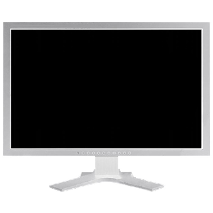 Monitor Eizo FlexScan EV2411W 24 Pollici 1920x1080 Full-HD VGA DVI White