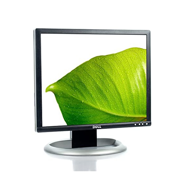 Monitor Dell 1905FP 19 Pollici Flat Panel VGA DVI PIVOT USB TCO03 4:3