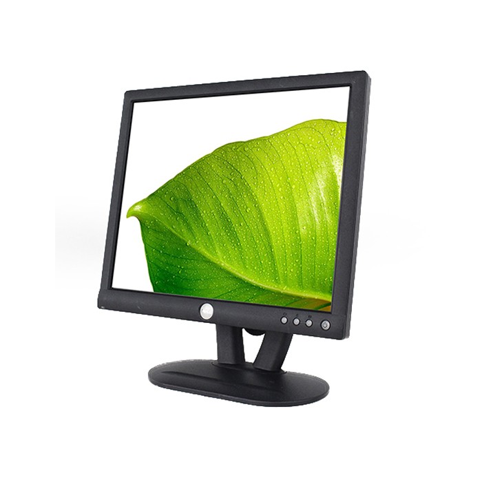 Monitor Dell E173FP 17 Pollici VGA Black
