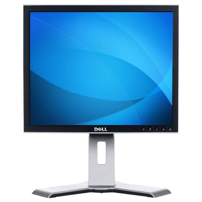 Monitor DELL 1908FP 19 Pollici Flat Panel VGA DVI USB Black