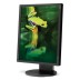 Monitor 19 Pollici NEC MultiSync EA191M VGA DVI 4:3 Black