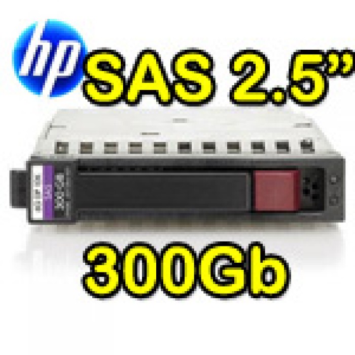 Hard Disk per Server HP SAS 2.5' 300Gb 10K Hot Swap per Proliant DL ML BL G5 G6 G7 