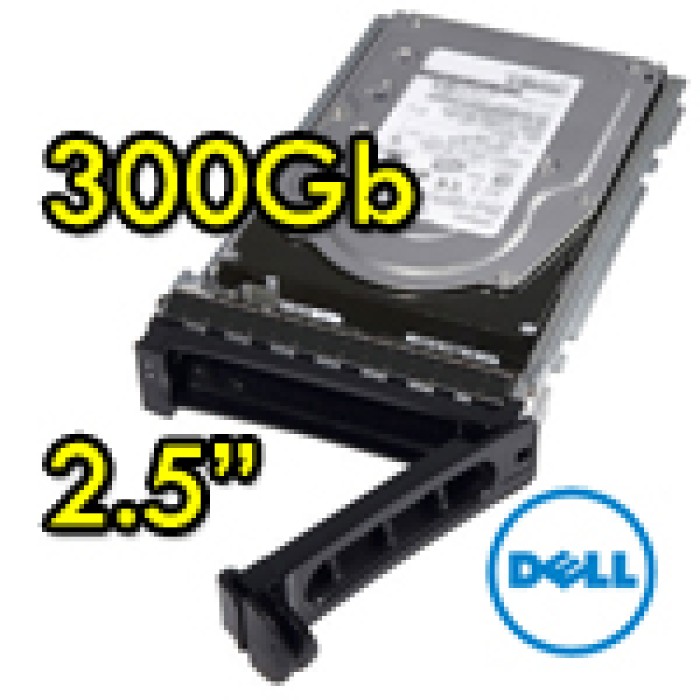 Hard disk per Server Dell 9WE066-150 300Gb SAS 10K 2.5' Hot Swap per R610 R710 R910 Altri