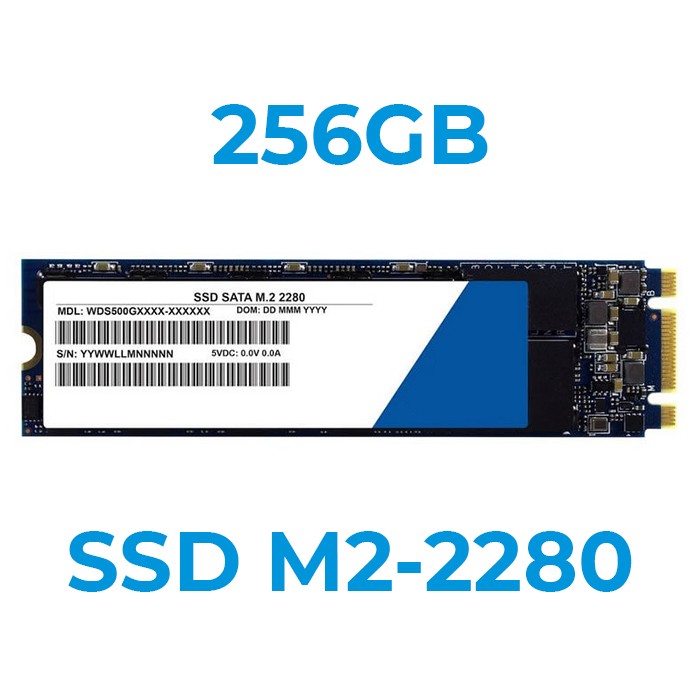UPGRADE A SSD 256GB M2-2280 Installazione Inclusa (Ordinabile solo con nostri PC/Notebook)