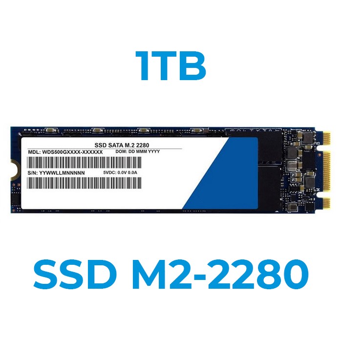 UPGRADE A SSD 1TB M2-2280 Installazione Inclusa (Ordinabile solo con nostri PC/Notebook)
