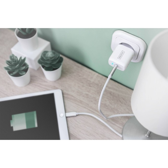 DIGITUS Adattatore di ricarica universale, USB-C?, 20 W