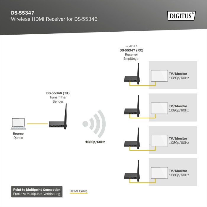 Ricevitore per estensore Wireless HDMI per DS55346, Full HD