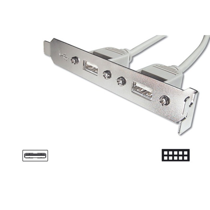 PANNELLO SLOT CON 2 CONNETTORI ESTERNI USB 2,0 TIPO A, FEMMINA - CONNETTORI INTERNI ALLA PIASTRA MADRE 2X5 PIN 2,54 MM
