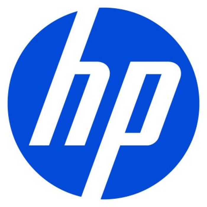 HP INC. B5CH7AA NVIDIA RTX PRO 2000 BLACKWELL 16 GB 4MDP GRAPHICS