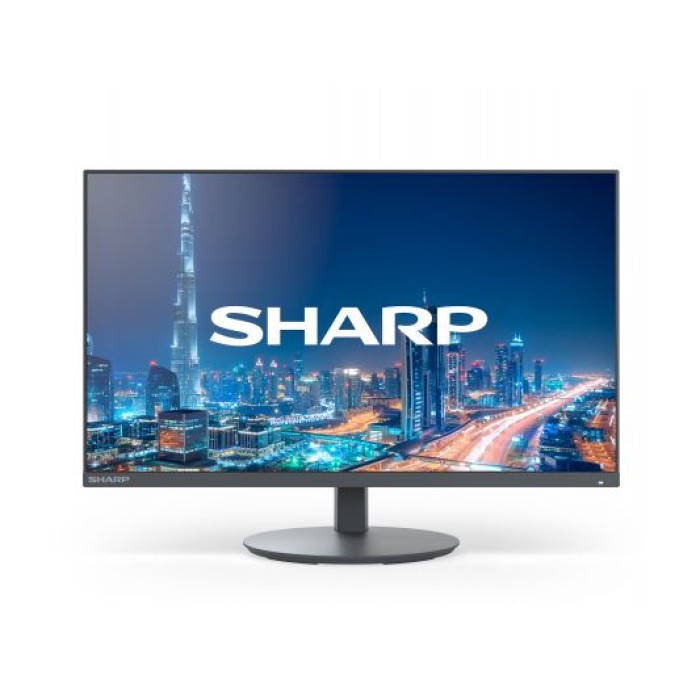 SHARP DDE224F MultiSync DD-E224F