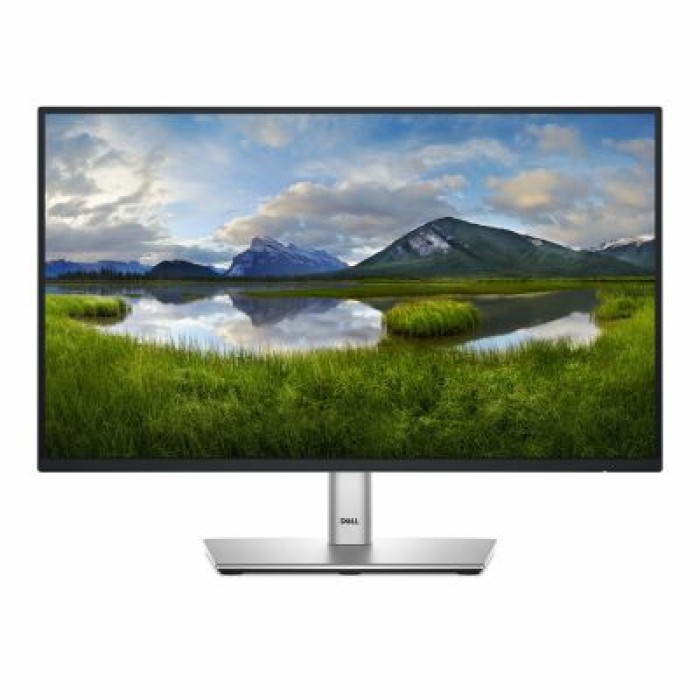 DELL DELL-P2225H DELL 22 MONITOR P2225H