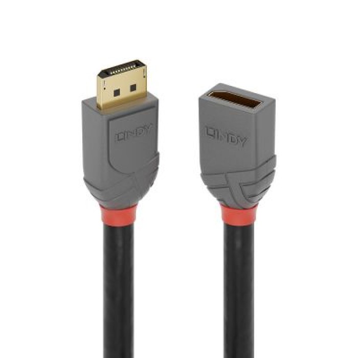 LINDY LINDY36496 Prolunga DisplayPort 1.4 Anthra Line. 1m