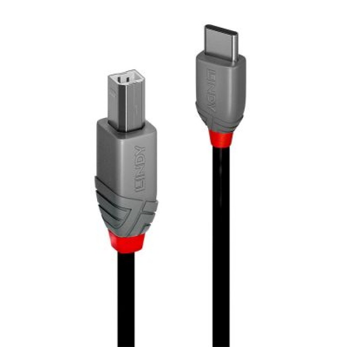 LINDY LINDY36941 CAVO USB 2.0 TIPO C A B. ANTHRA LINE. 1M