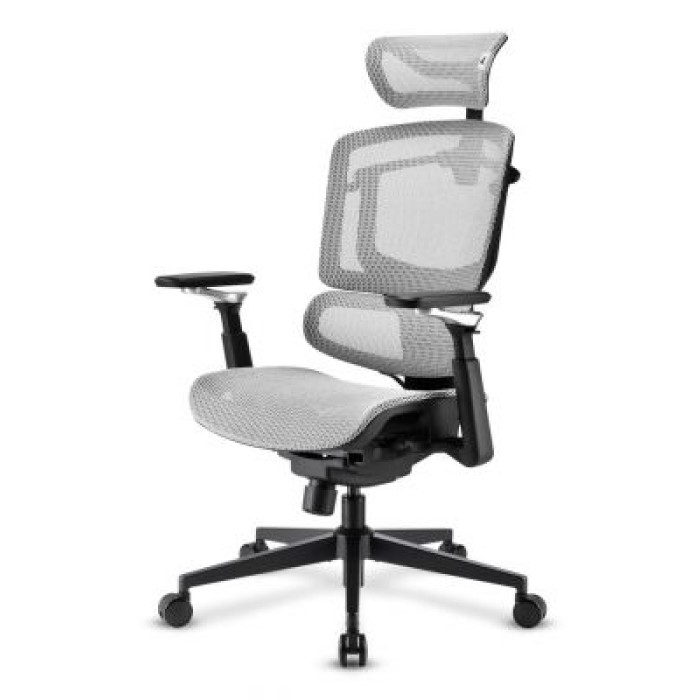 SHARKOON OFFICEPAL C50M SEDIA OFFICE ERGONOMICA IN RETE MESH