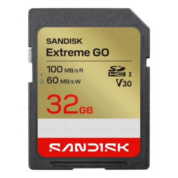 SANDISK SDSDXGN-032G-GNCIN SANDISK EXTREME GO 32GB UHS-I SDHC