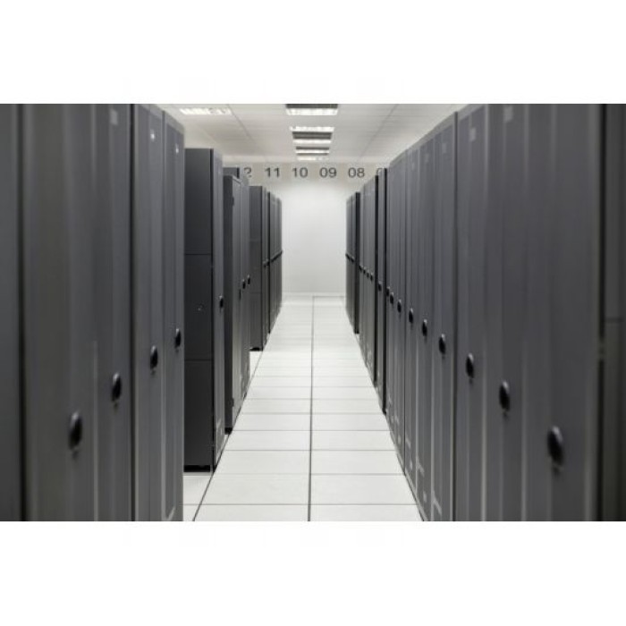 HEWLETT PACKARD ENT P61742-B21 HPE ML110 Gen11 NS204i-u Enable Kit