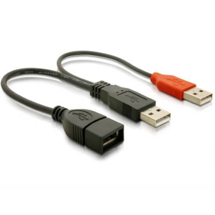 SDOPPIATORE USB A FEMMINA - 2 X A MASCHIO 22,5 CM DELOCK