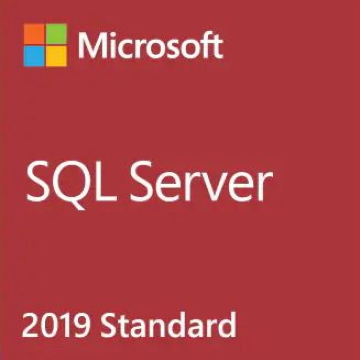 MSB - MICROSOFT 228-11548 SQL SERVER STANDARD EDT 2019 ENGLISH DVD 10 CLT