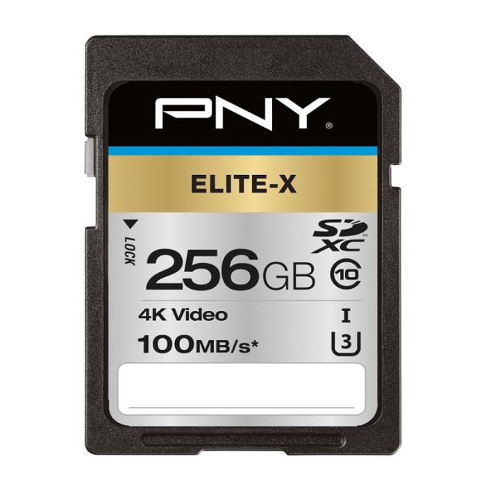PNY TECHNOLOGIES EUROPE P-SD256U3100EX-GE 256GB PNY SD ELITE-X CLASS 10 UHS-I U3  100MB/S
